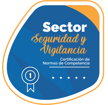 Sector Seguridad y Vigilancia
